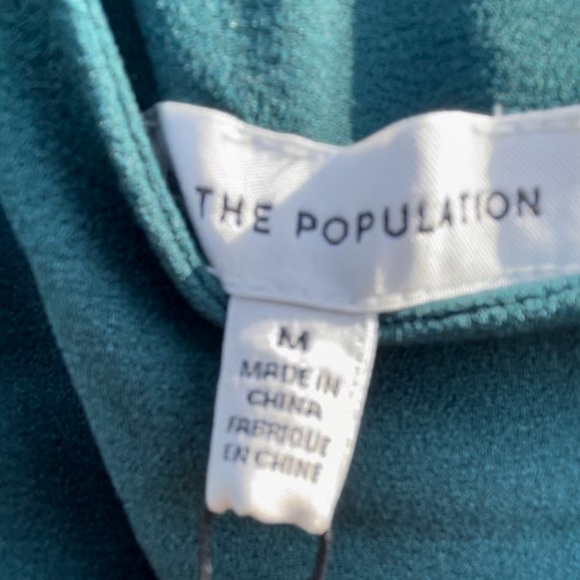 Dress The Population NWT - Picture 4 of 9